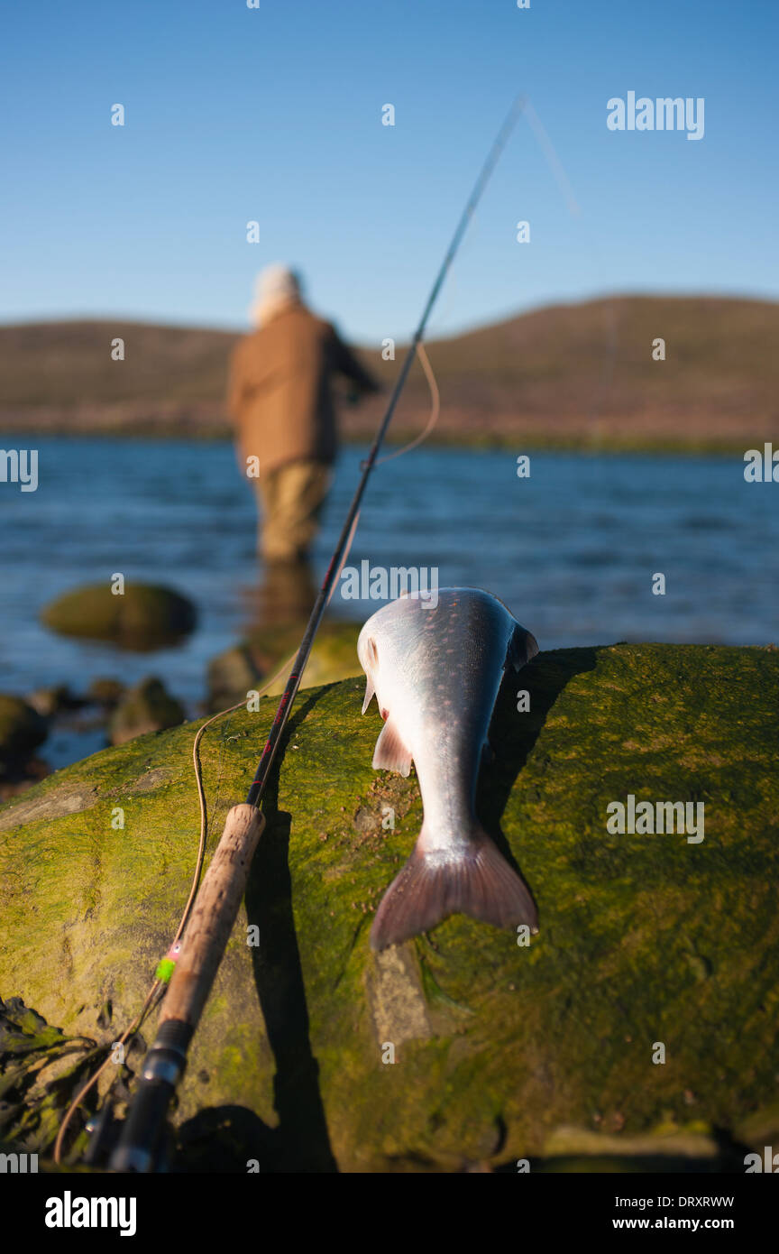Angler casts off the rocky arctic shore in northern Canada. Stock Photo