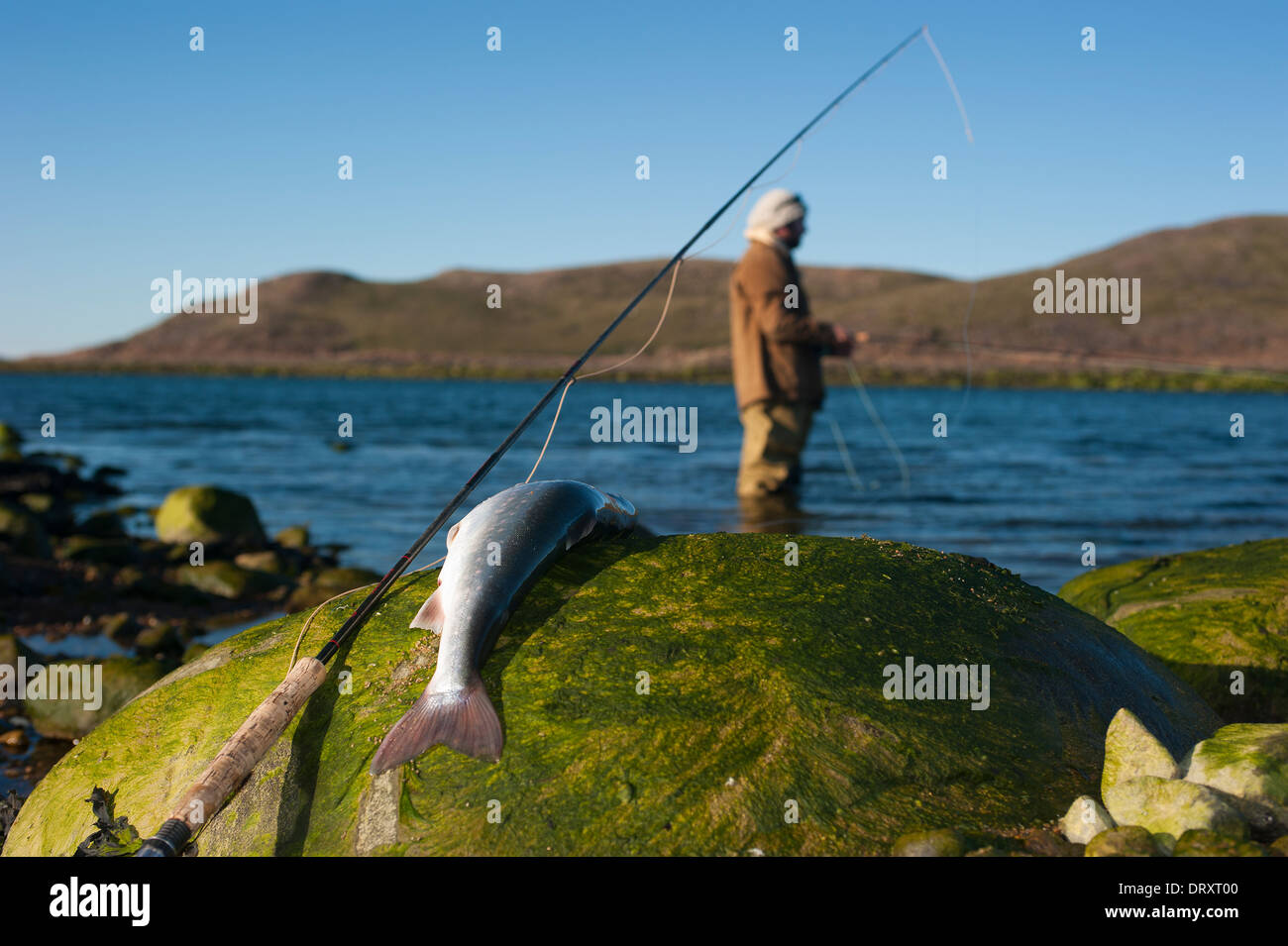 Angler casts off the rocky arctic shore in northern Canada. Stock Photo