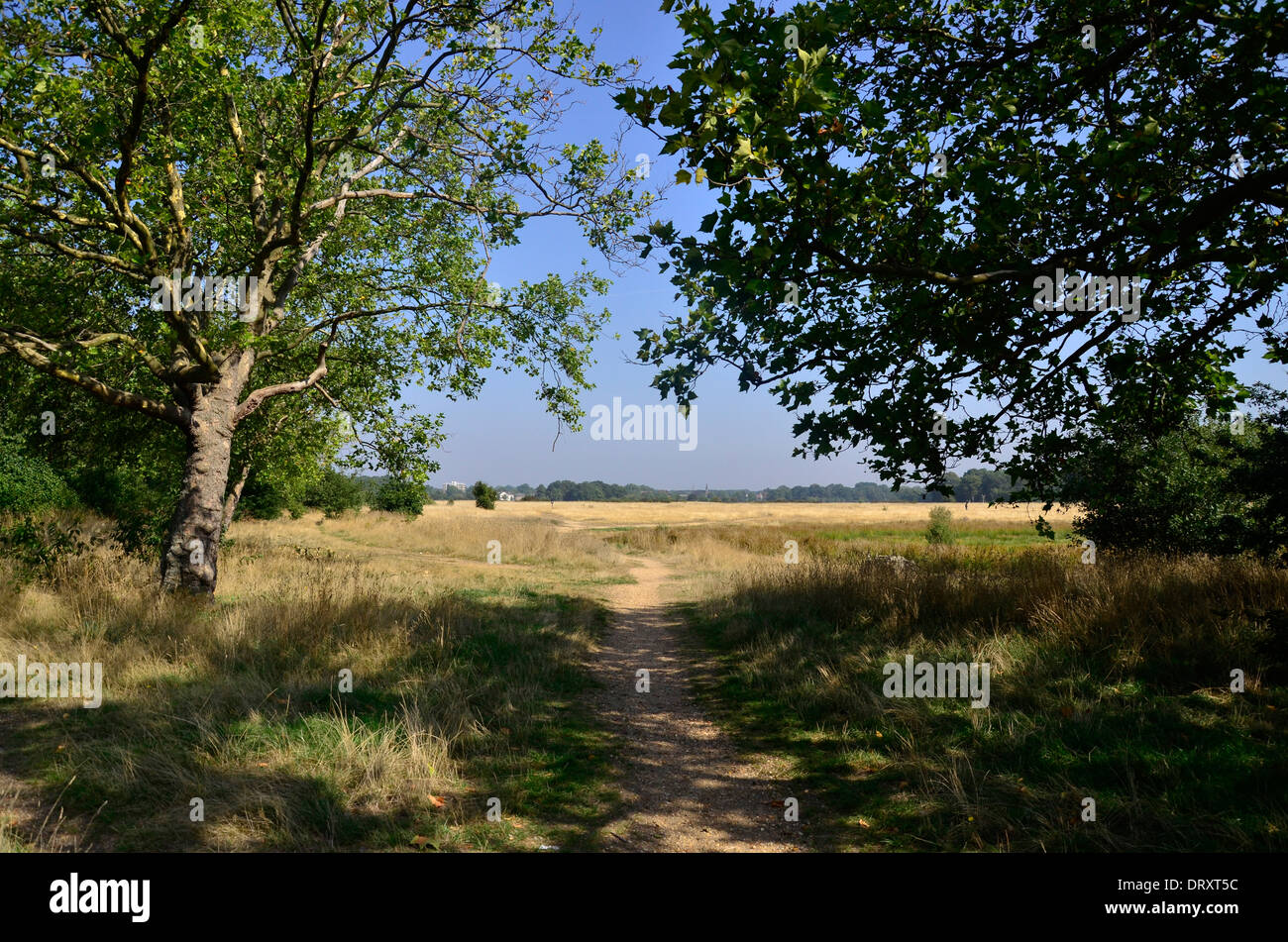 Wanstead Flats, just to the north of Forest Gate, Newham, London, E7 Stock Photo