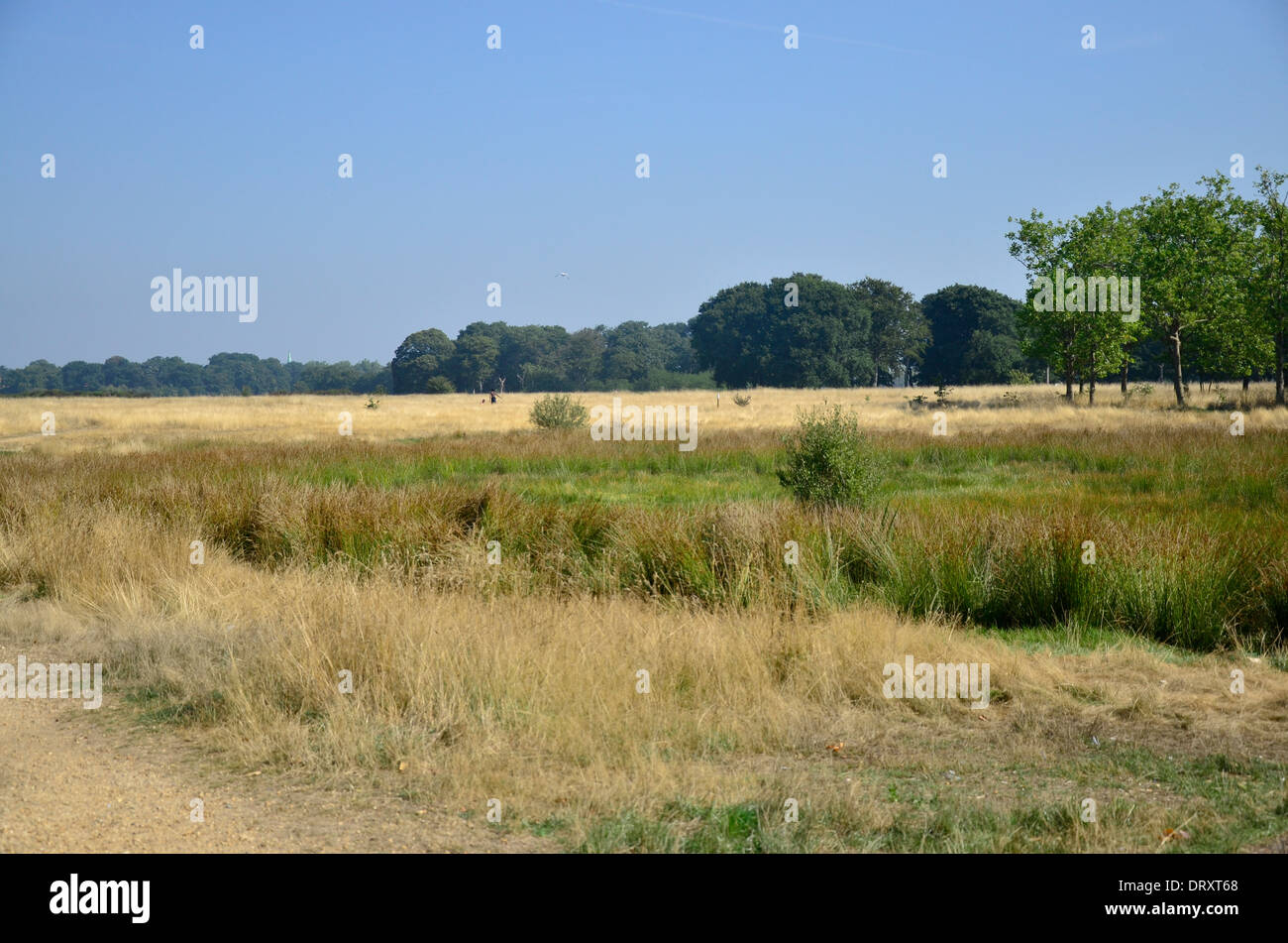 Wanstead hires stock photography and images Alamy