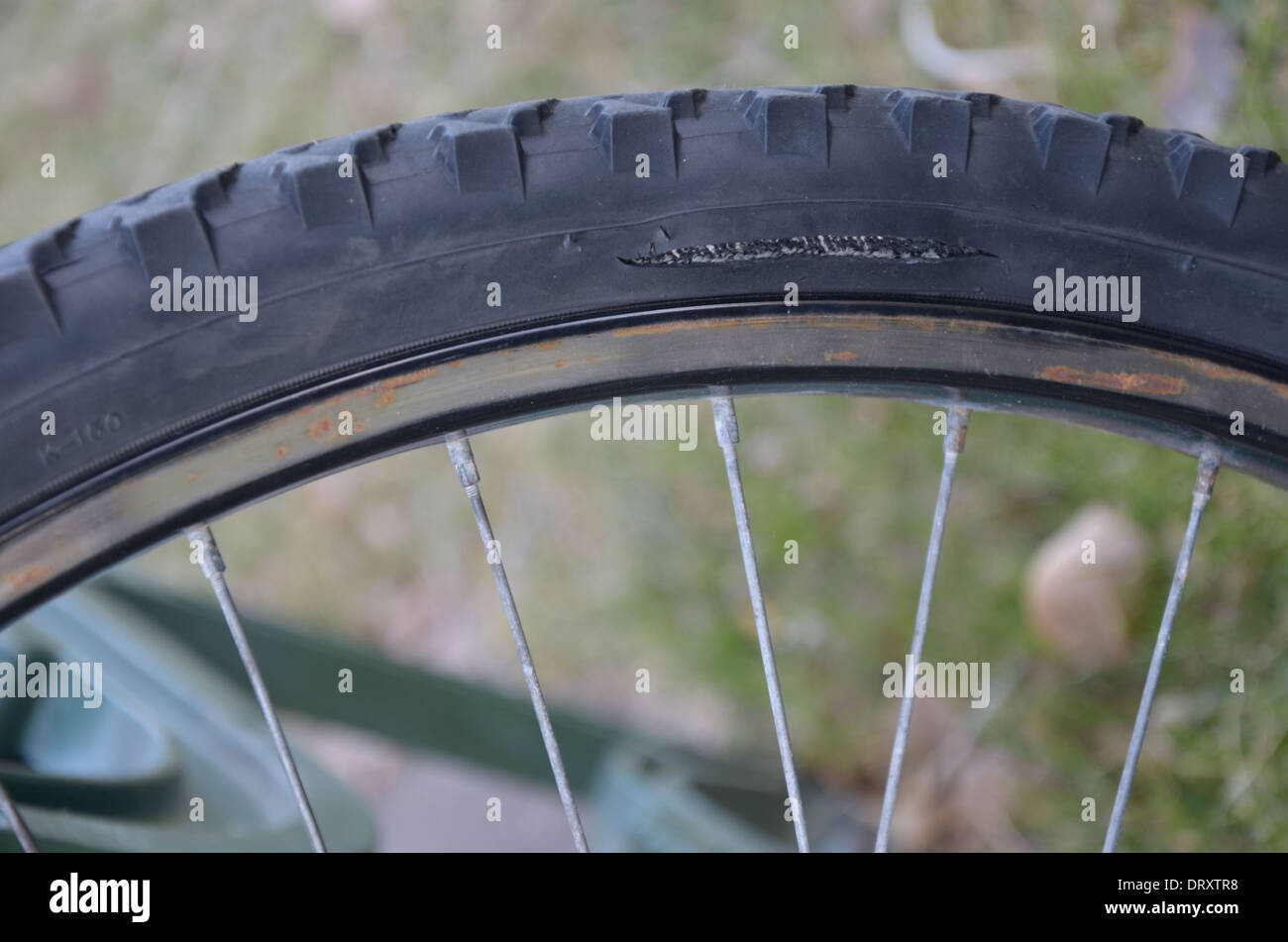 Worn bike tire with damage Stock Photo Alamy