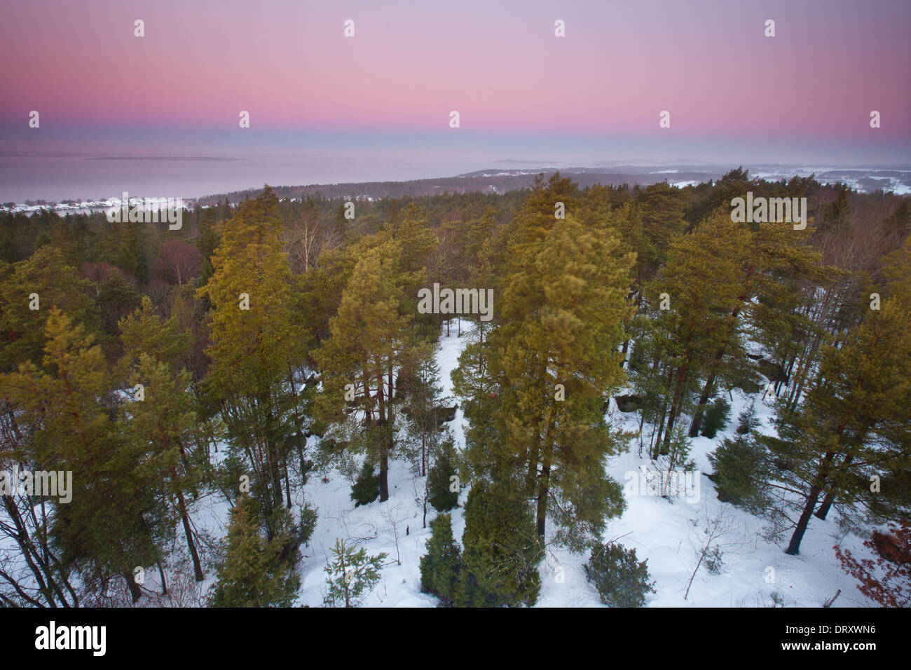 Winter dawn seen from the lookout point tower at Vardåsen in Rygge ...
