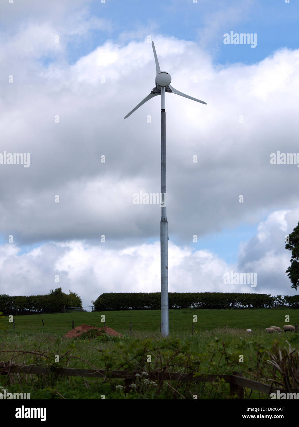 Single wind turbine in a farmers field Stock Photo Alamy