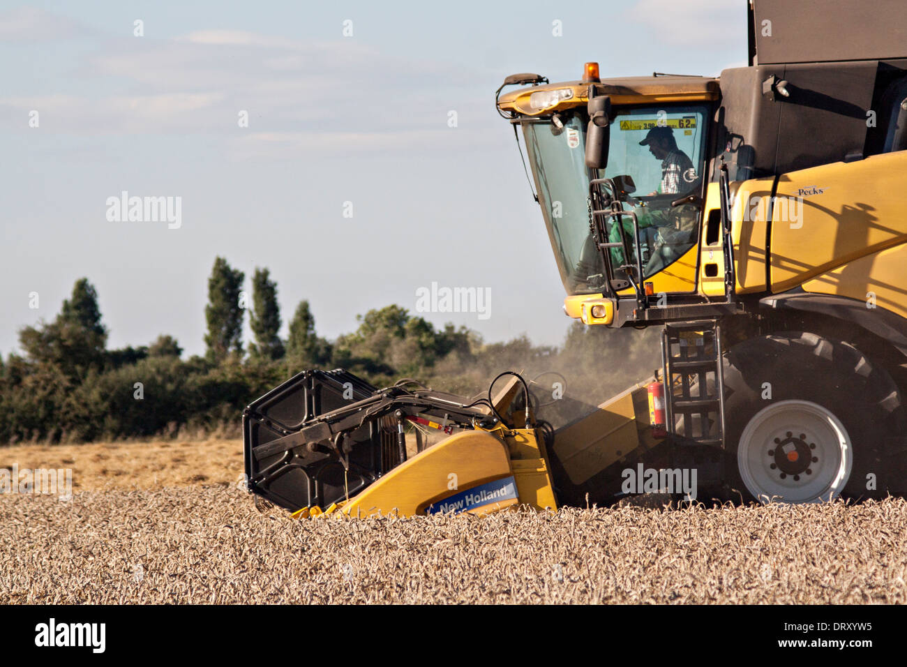 New Holland CX8090 combine harvester at work Stock Photo
