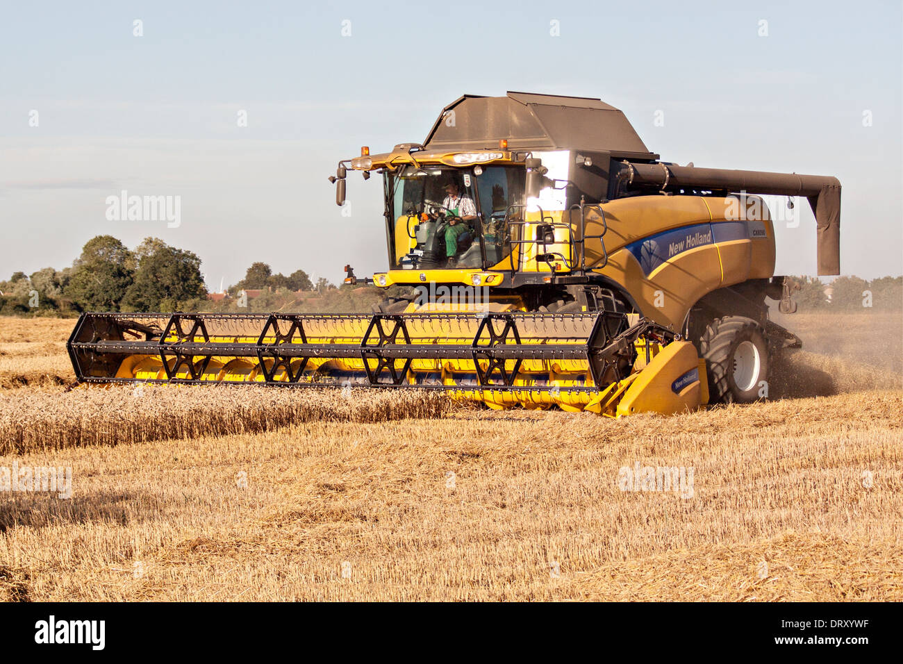 New Holland CX8090 combine harvester at work Stock Photo