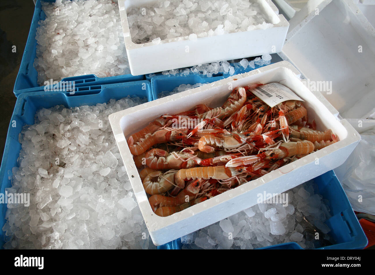 A box of freshly caught crayfish in the fish market Stock Photo
