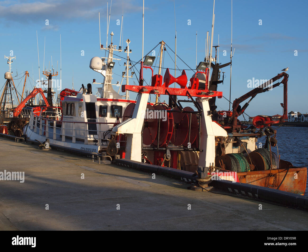 An assemblage of U.K. fisheries inshore fishing trawlers moored at North Shields Fish Quay, North Tyneside, Newcastle Upon Tyne. Stock Photo