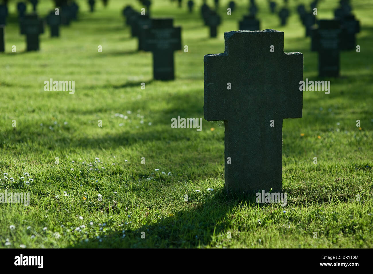 Crosses in grass on cemetery Stock Photo