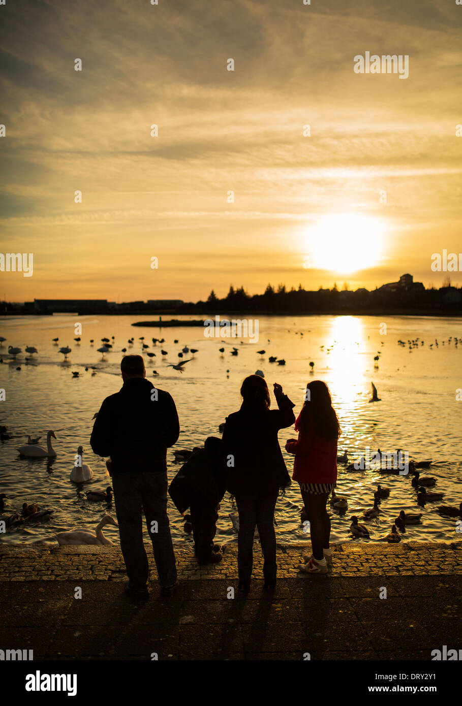 Watching the winter sunset at The Pond in Reykjavik, Iceland Stock Photo