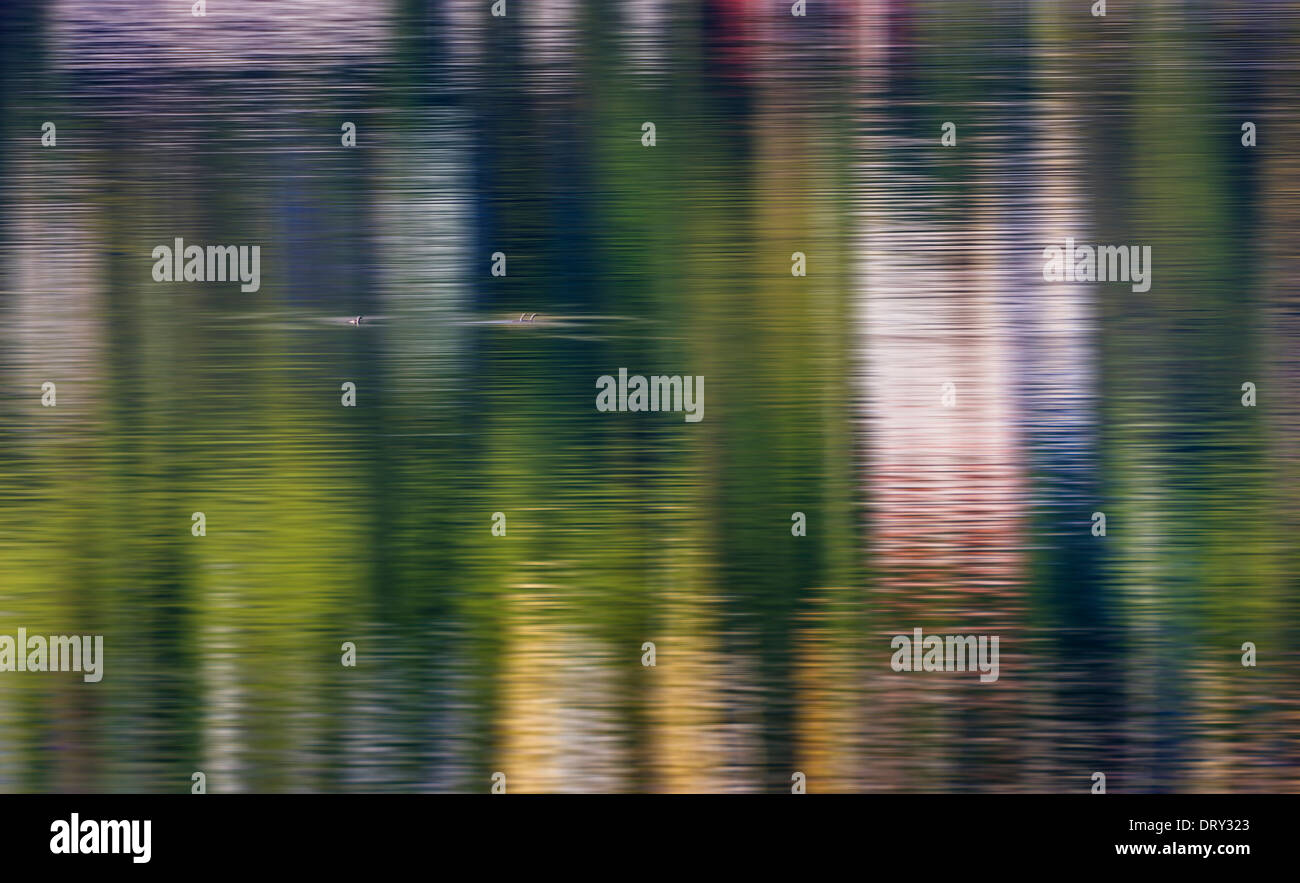 Reflections in Eyjafjordur, Akureyri, Iceland Stock Photo