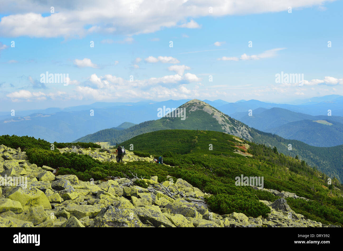 Carpathian Mountains Stock Photo