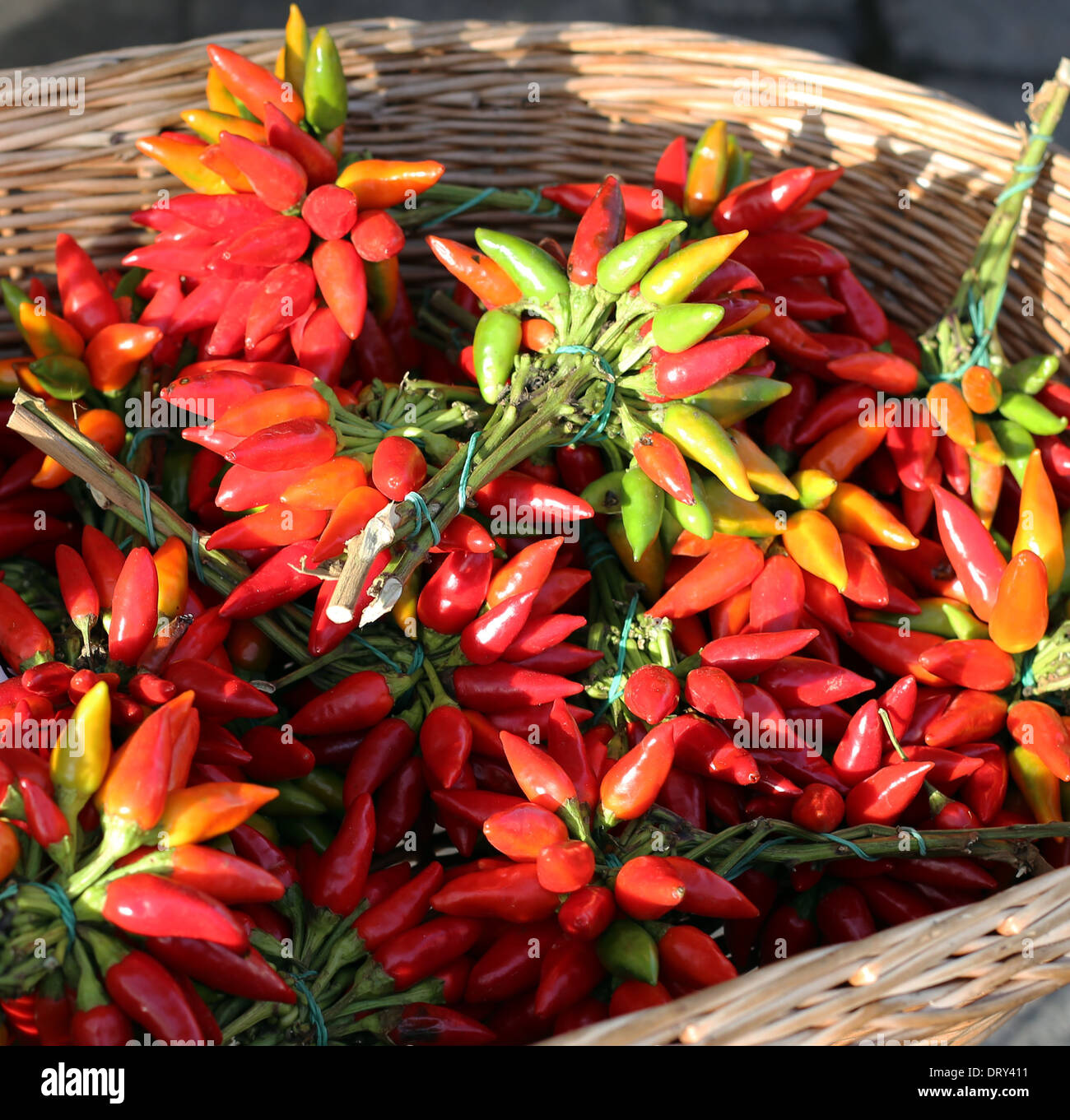 Red hot pepper in a basket Stock Photo