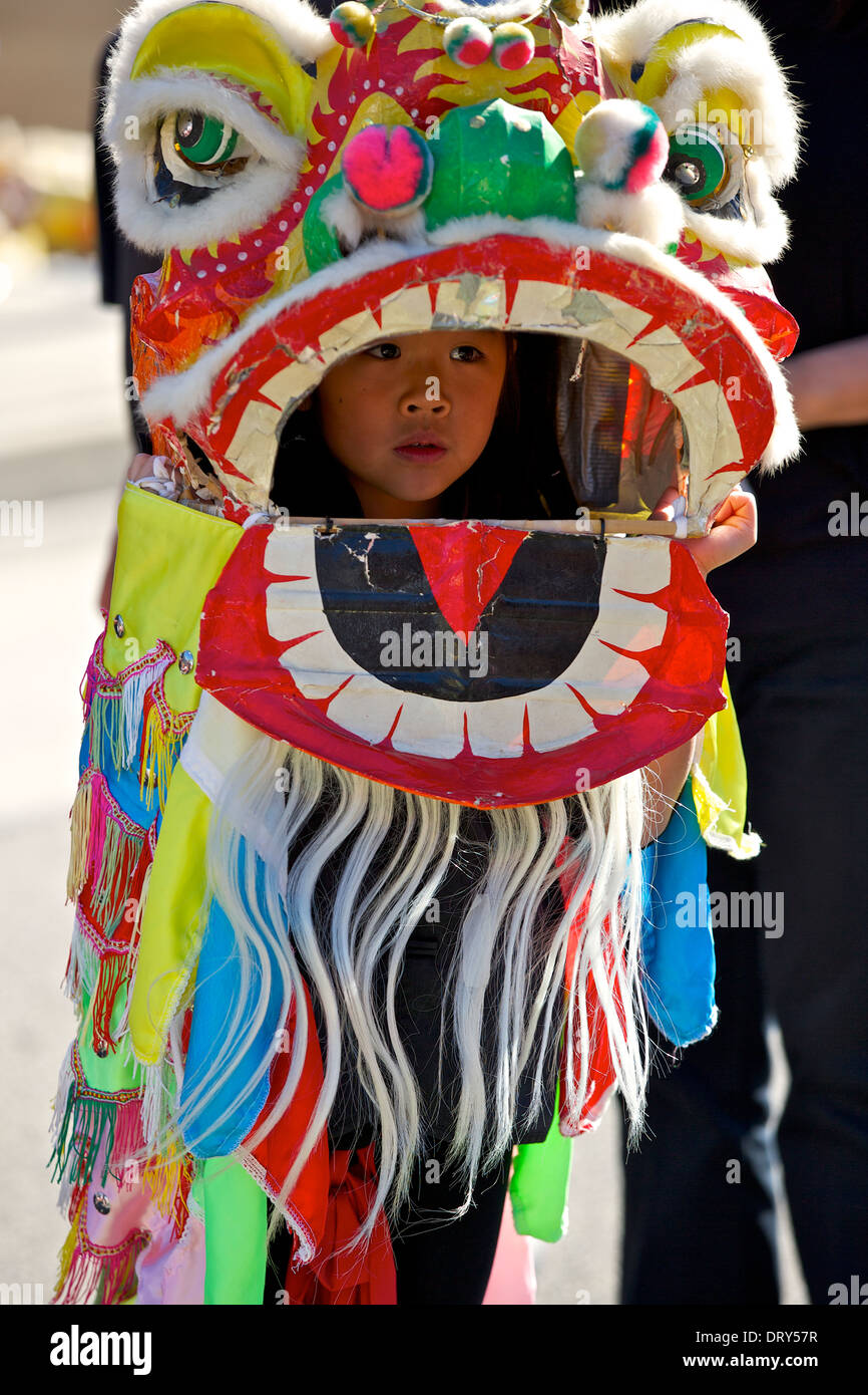 dog chinese new year dragon costume