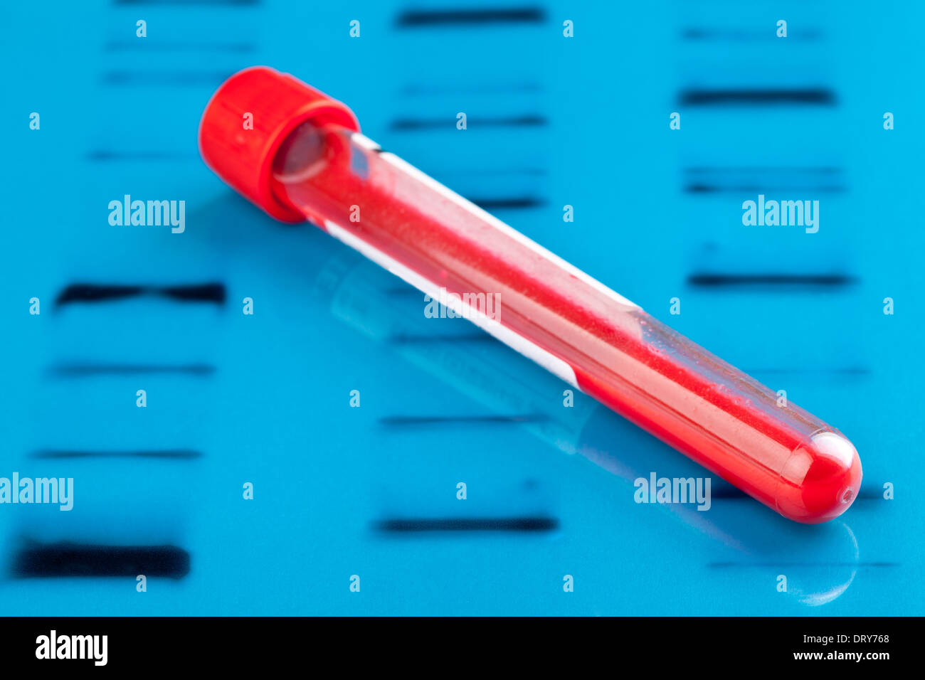 Vial of blood dna hires stock photography and images Alamy