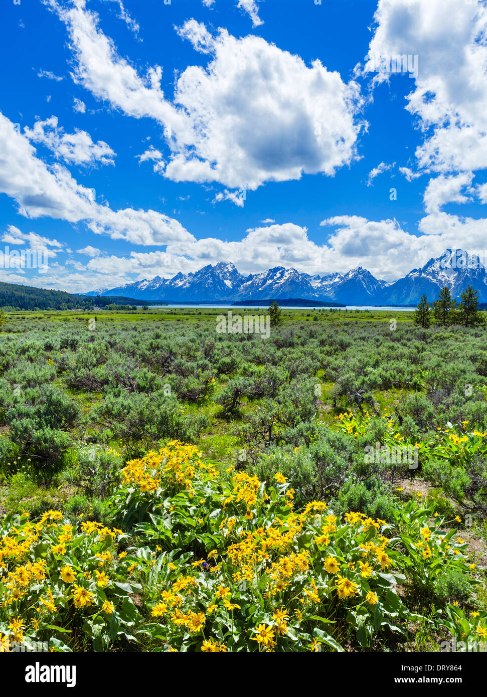 Grand Tetons from Rockefeller Parkway near Jackson Lake Lodge, Grand