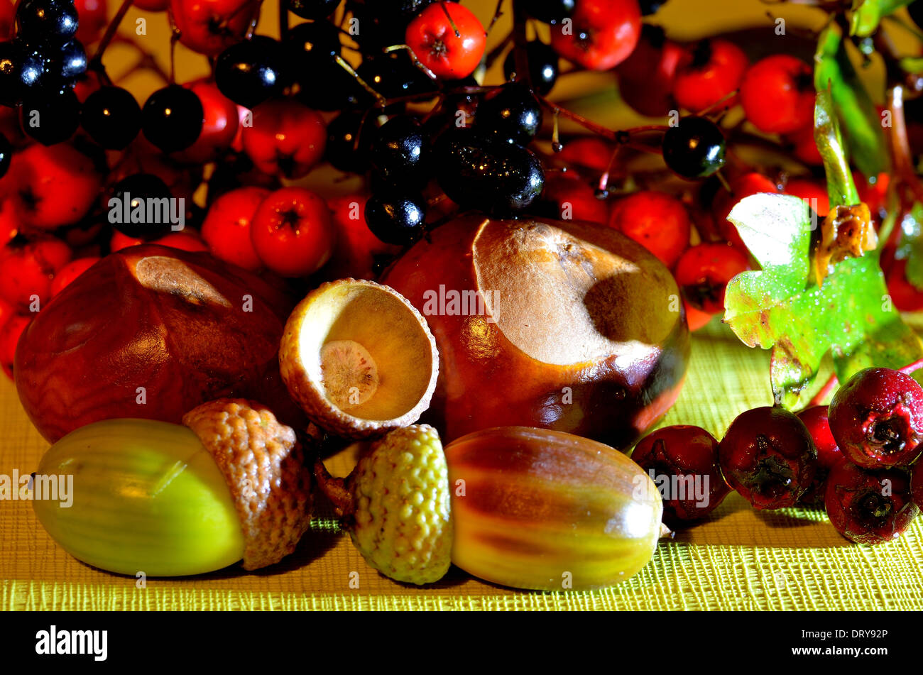 Squirrels and acorns hi-res stock photography and images - Alamy