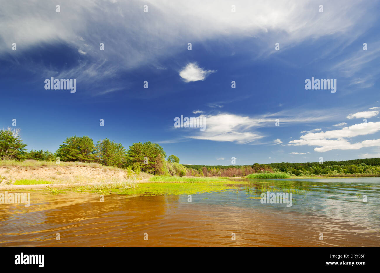 Tranquil forest lake under hi-res stock photography and images - Alamy