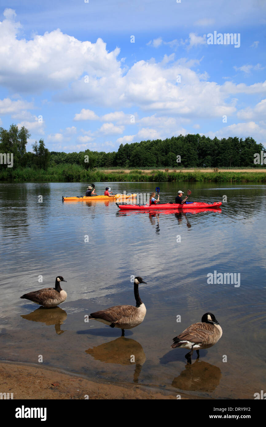 Canoes at Lake Reihersee near Hohnstorf/Elbe, Lower Saxony, Germany, Europe Stock Photo