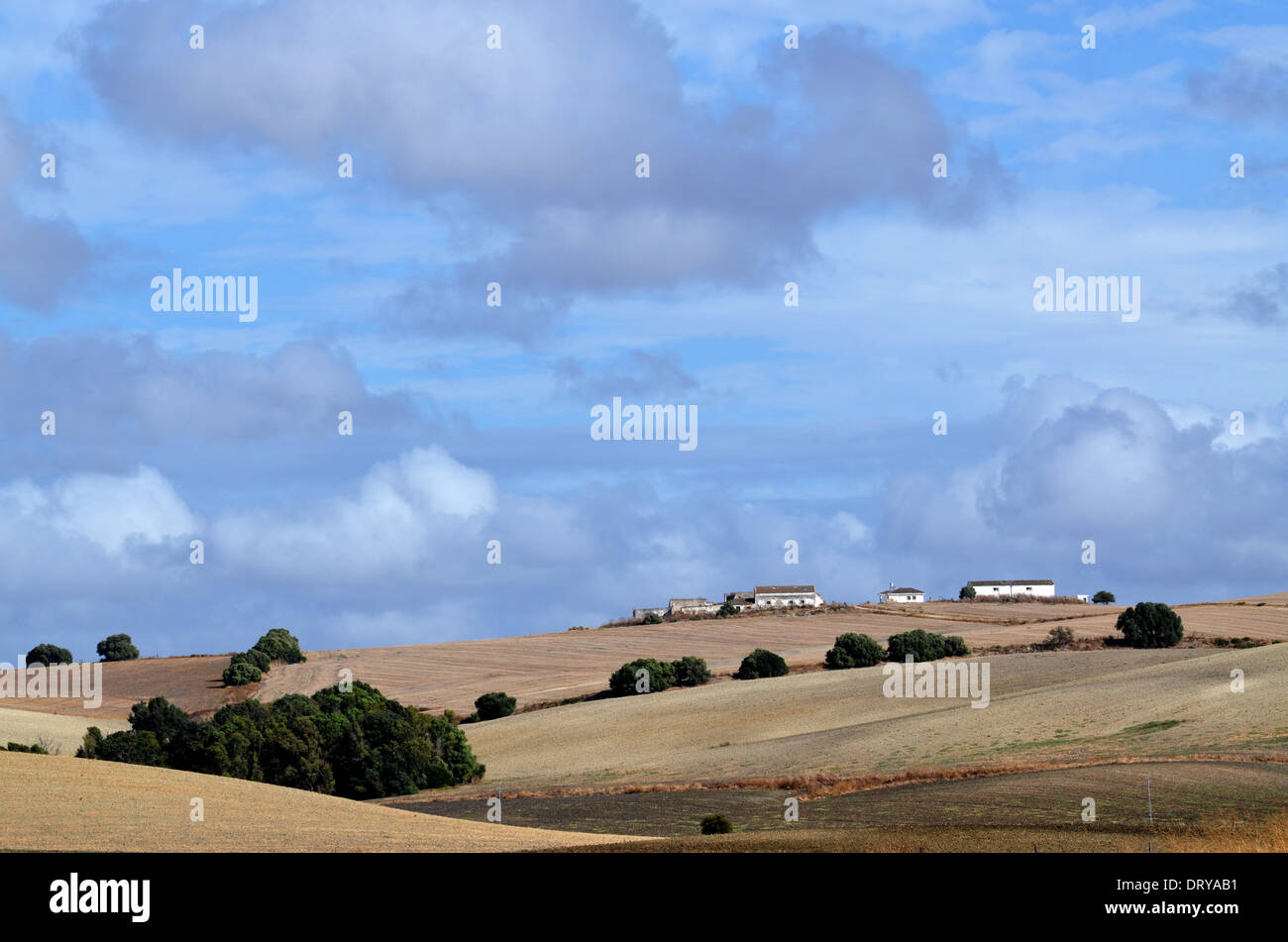 Firm agricultural Stock Photo
