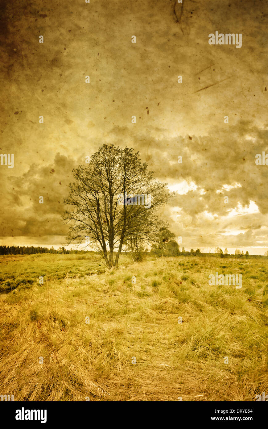 Tree on vintage background Stock Photo - Alamy
