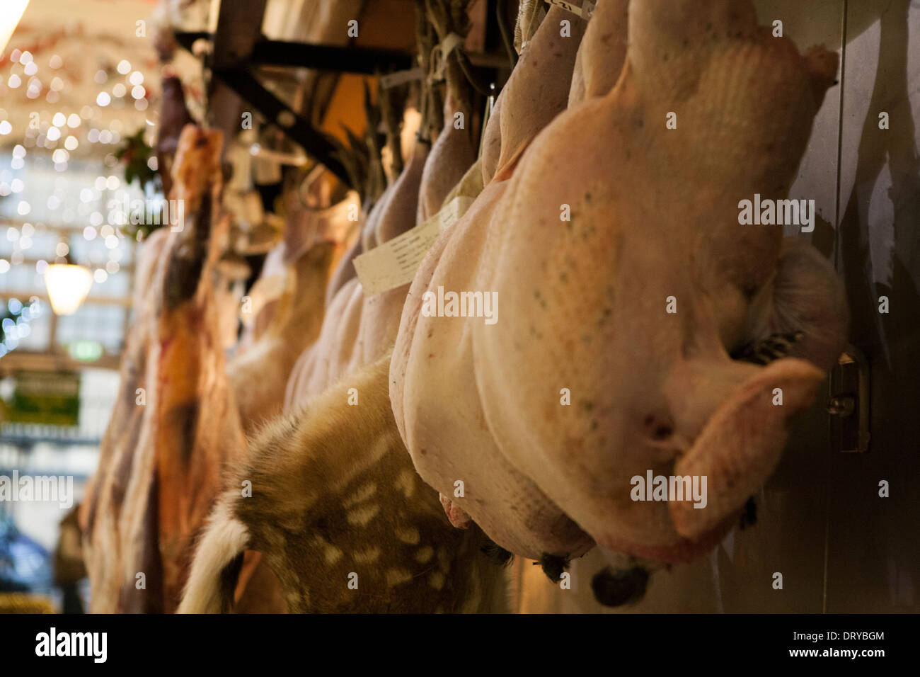 Uncovered Turkeys hanging outside a Butchers shop in Oxford's Covered market. Stock Photo