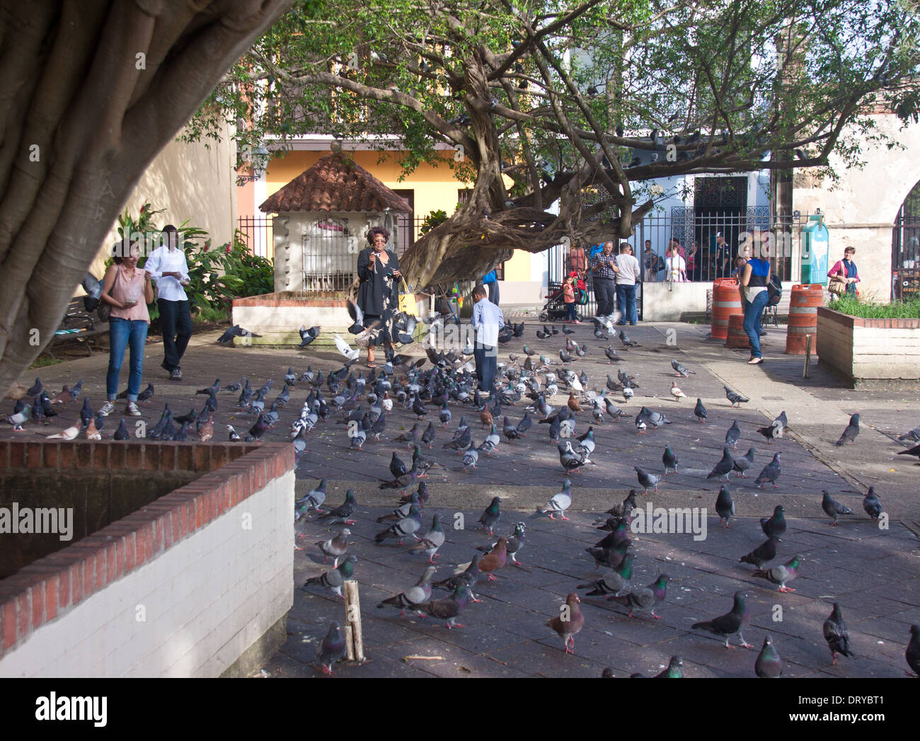 People and pigeons in Parque de las Palomas in Old San Juan, Puerto Rico Stock Photo