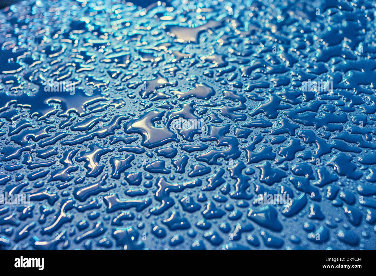 Water droplets on car bonnet Stock Photo