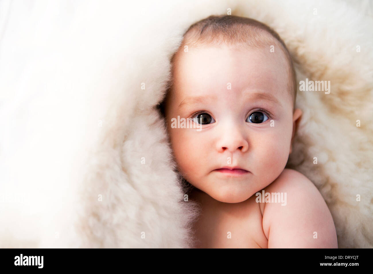 Baby (1217 months) with fur blanket on head Stock Photo Alamy