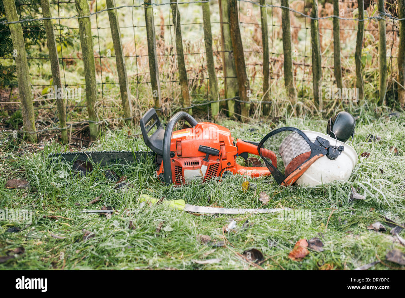 Chainsaw and pruning handsaw lying in the garden. Stock Photo