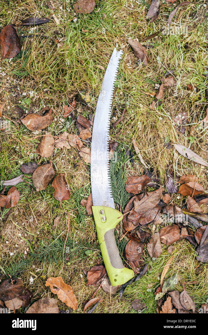 Pruning handsaw lying on the ground. Stock Photo
