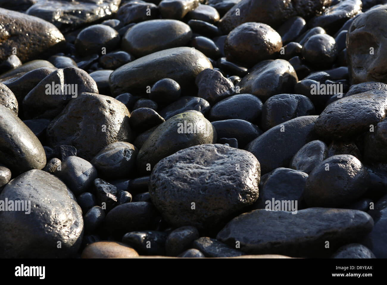 Characteristic black hi-res stock photography and images - Alamy