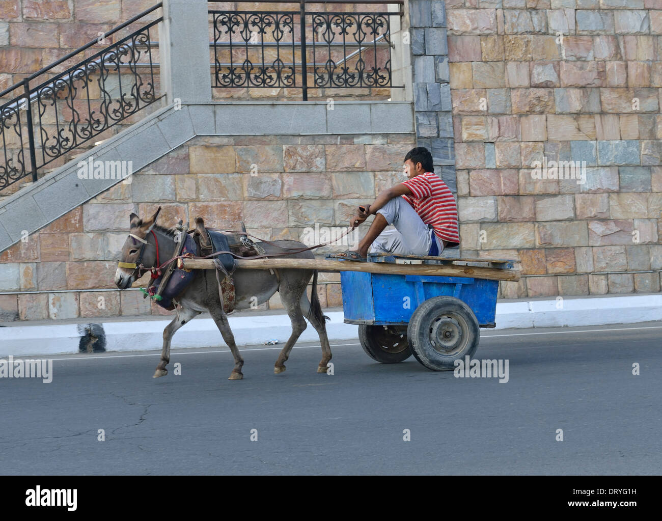 Donkey cart, Samarkand, Uzbekistan Stock Photo Alamy