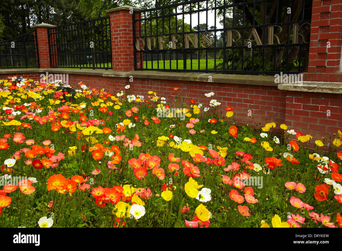 Botanical gardens at Queens Park, Invercargill, Southland, South Island, New Zealand Stock Photo