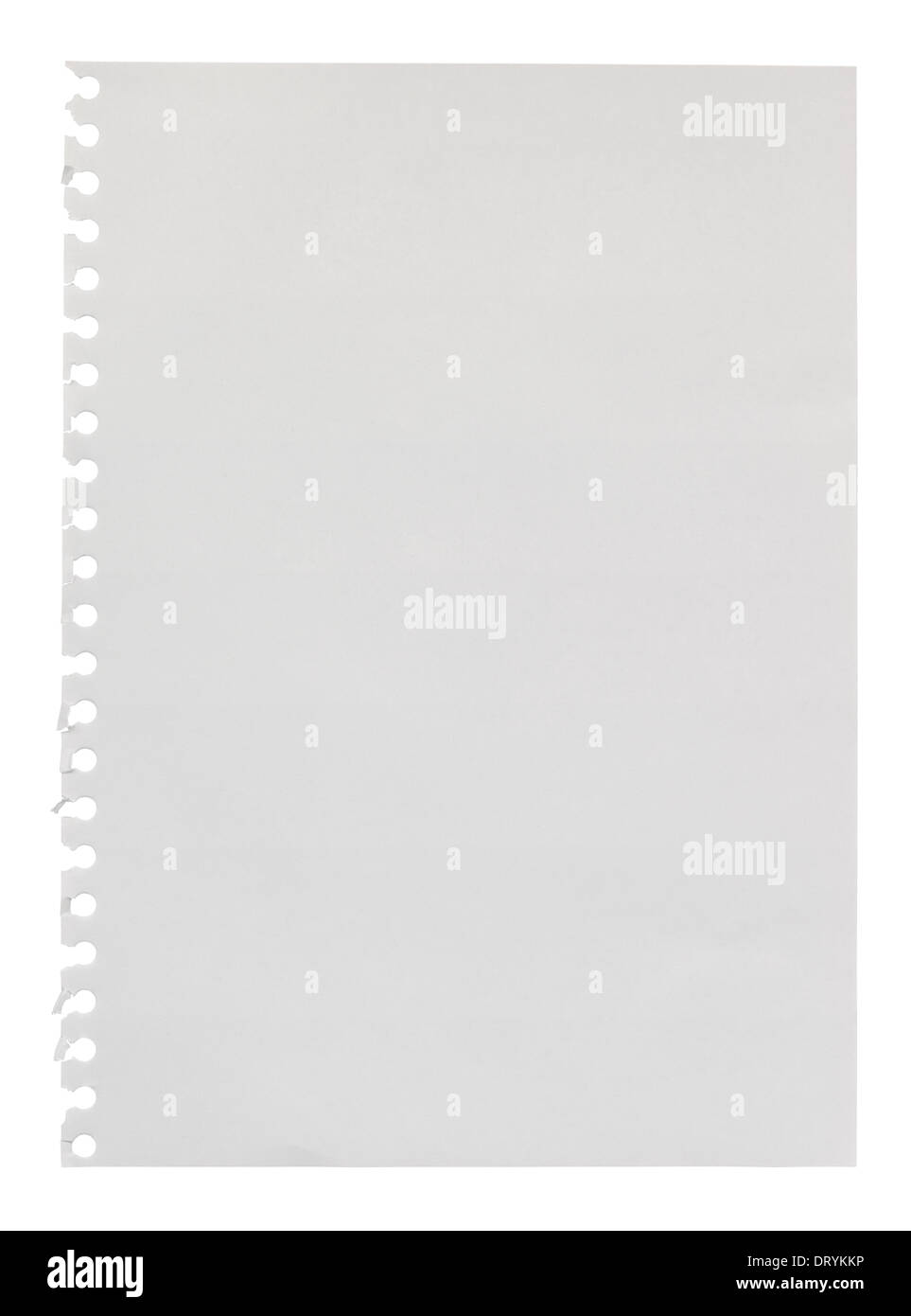 Blank page torn from a ring bound scrapbook for use as a design element with empty space your own personalised message Stock Photo