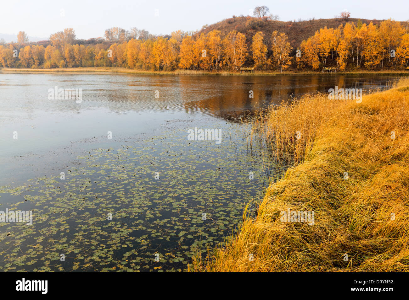 autumn on lakeside Stock Photo