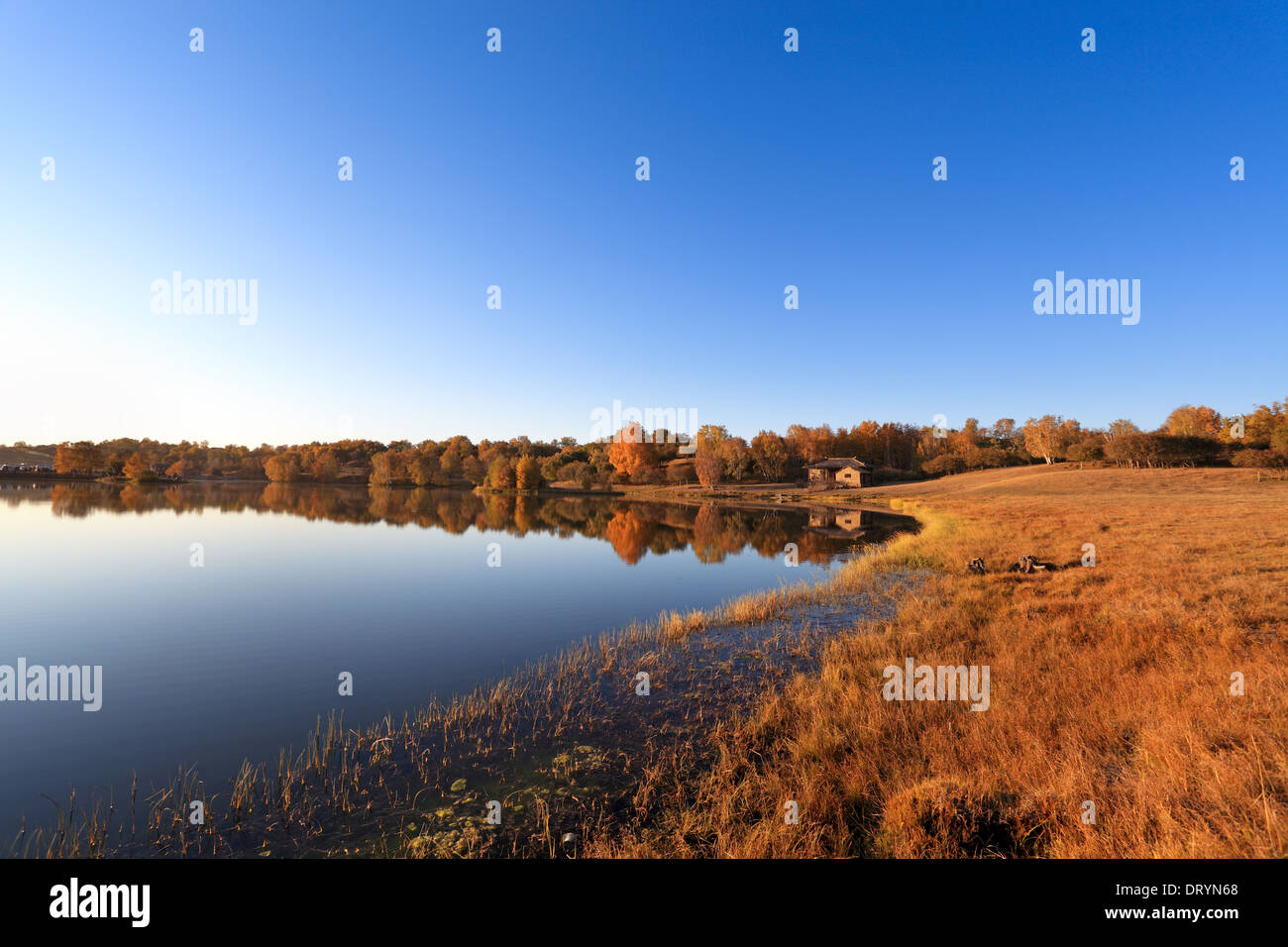 autumn lake in early morning Stock Photo