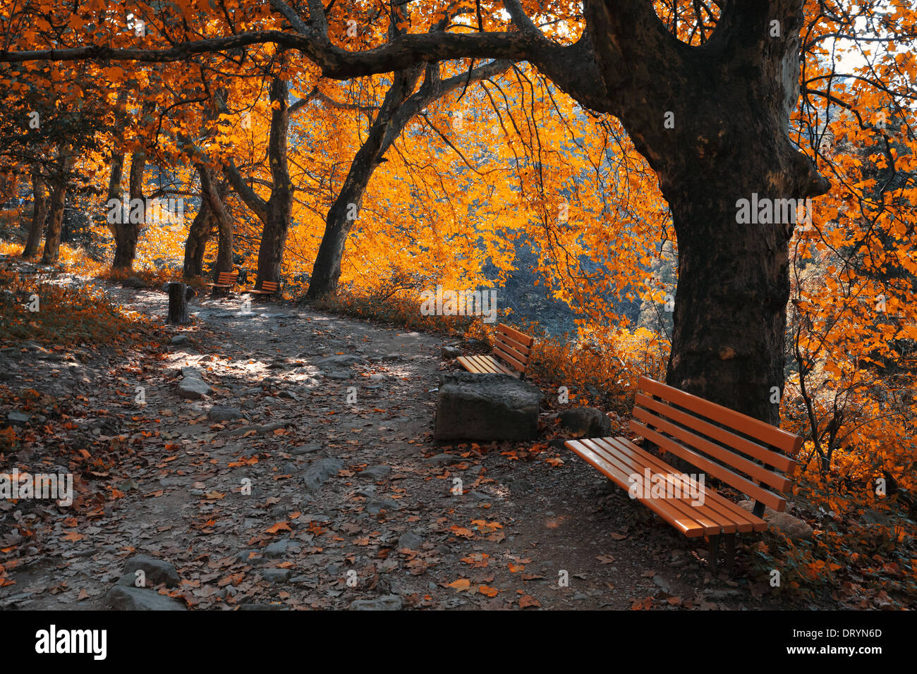 autumn mountain trail Stock Photo