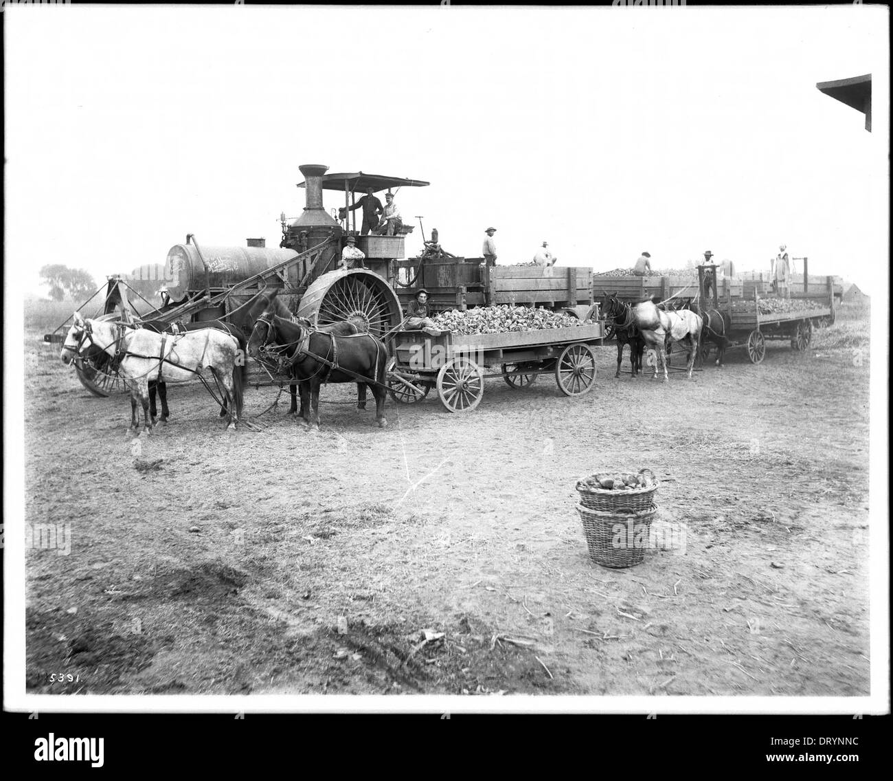 Traction engine vintage Black and White Stock Photos & Images - Alamy