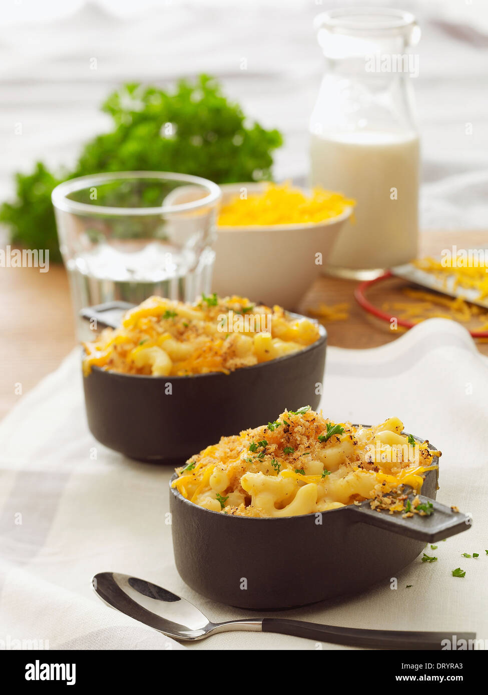 Two servings of baked macaroni and cheese with parsley garnish, a bowl of cheese and a glass of milk in the background. Stock Photo