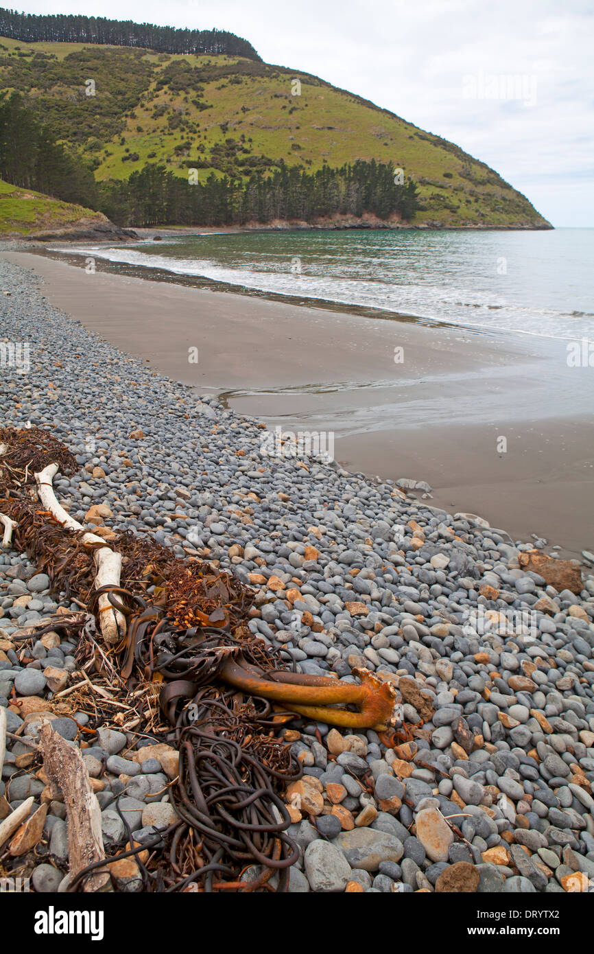 Flea Bay on the Banks Peninsula Track Stock Photo Alamy