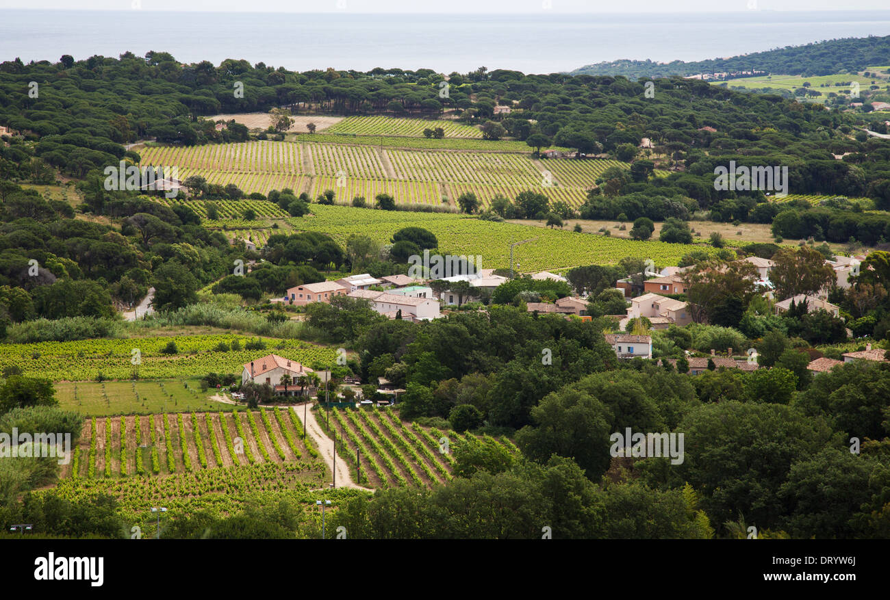 Mediterranean landscape in Southern France, Provence. Stock Photo