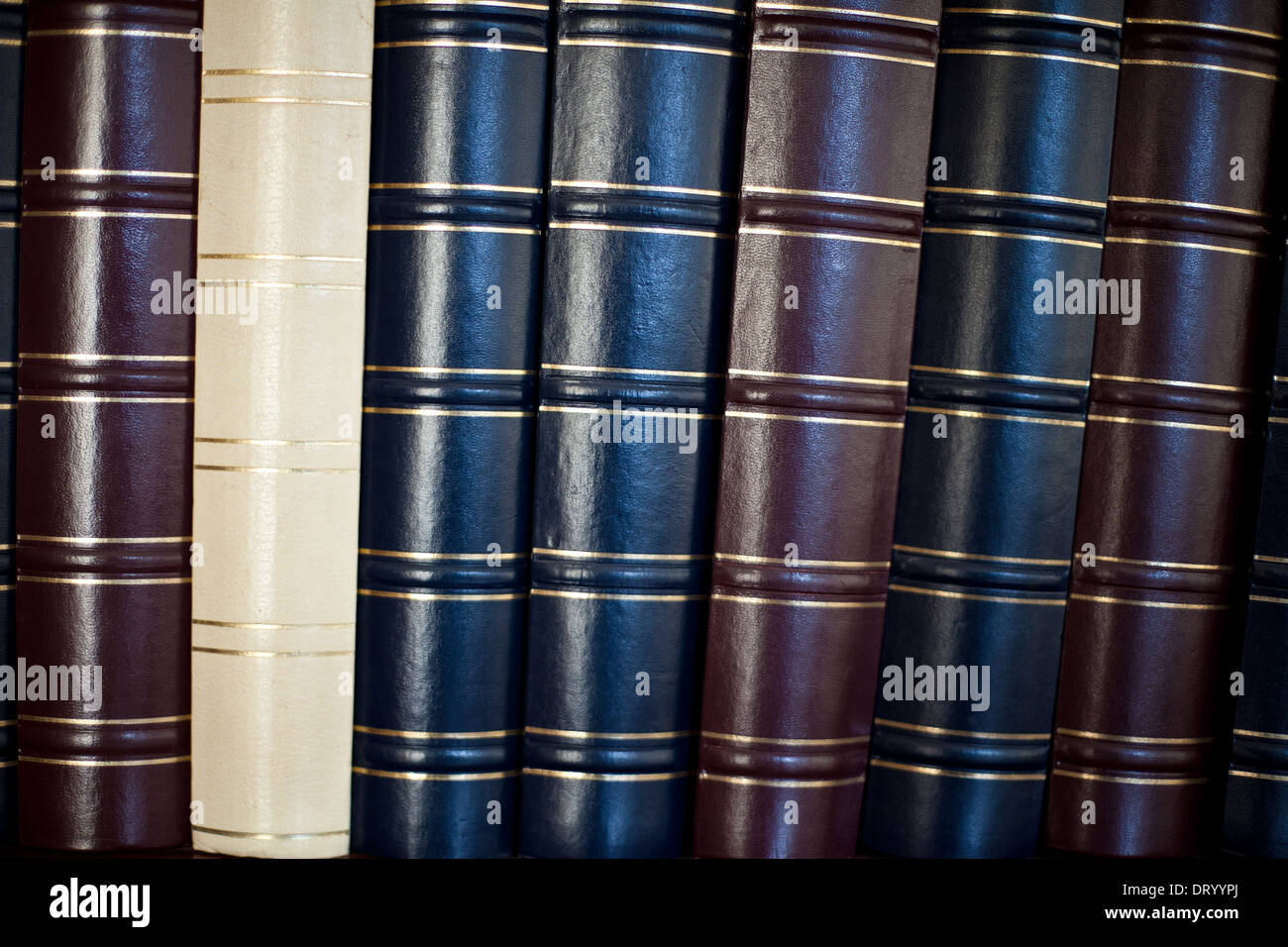 standard photo albums Stock Photo Alamy