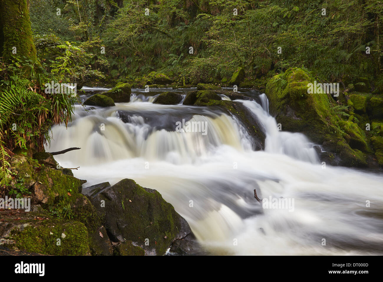 Golitha Falls, on the Fowey River, near Liskeard, Cornwall, Great Britain. Stock Photo