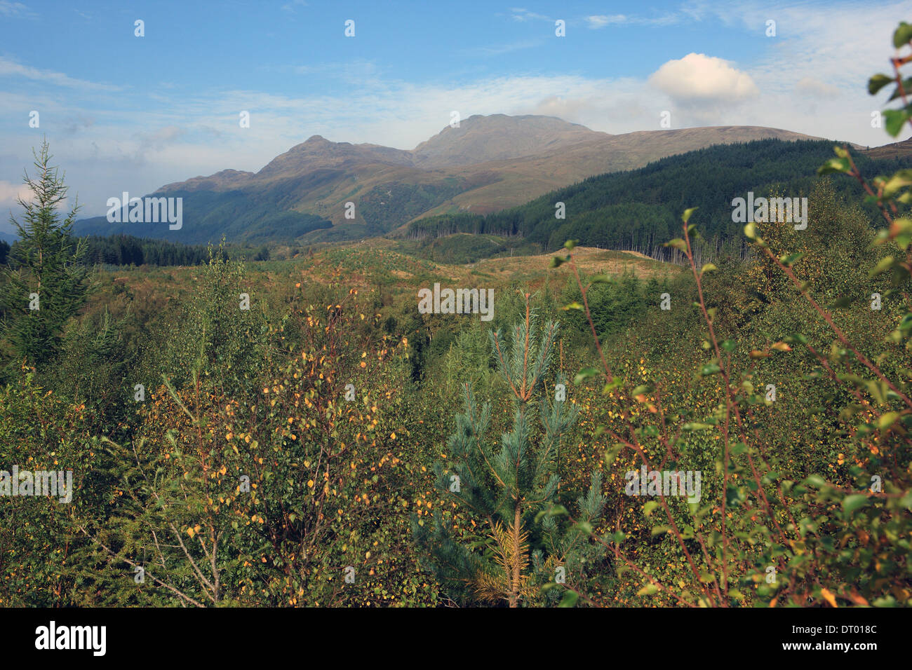Countryside surrounding Ben Lomond in the Loch Lomond & Trossachs National Park in Scotland Stock Photo
