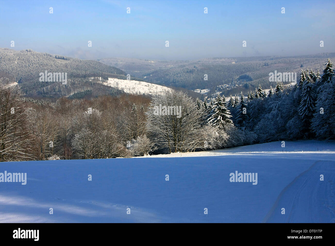 Thuringia Winter Winter in the mountains of Thueringia. Photo: Klaus Nowottnick Date ...