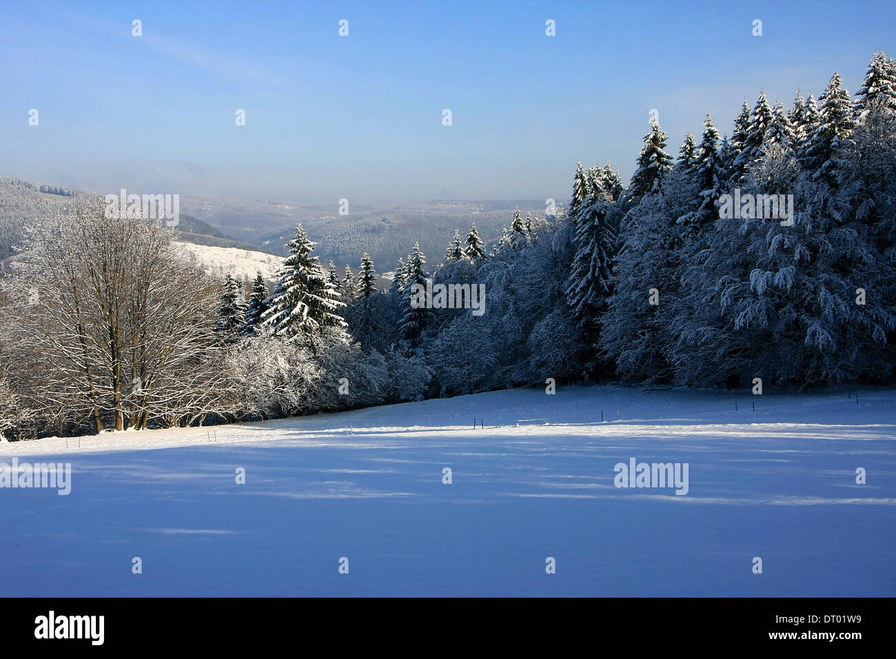 Thuringia Winter Winter in the mountains of Thueringia. Photo: Klaus Nowottnick Date ...