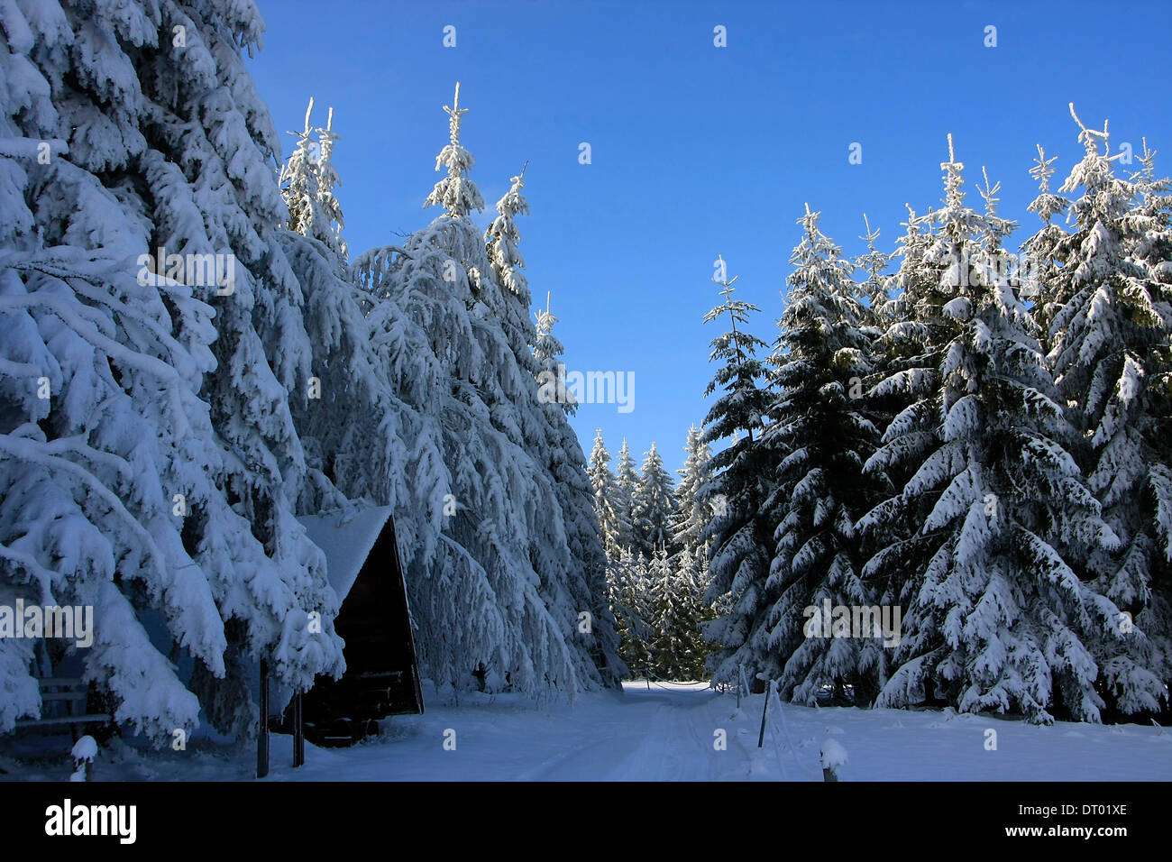 Thuringia Winter Winter in the mountains of Thueringia. Photo: Klaus Nowottnick Date ...