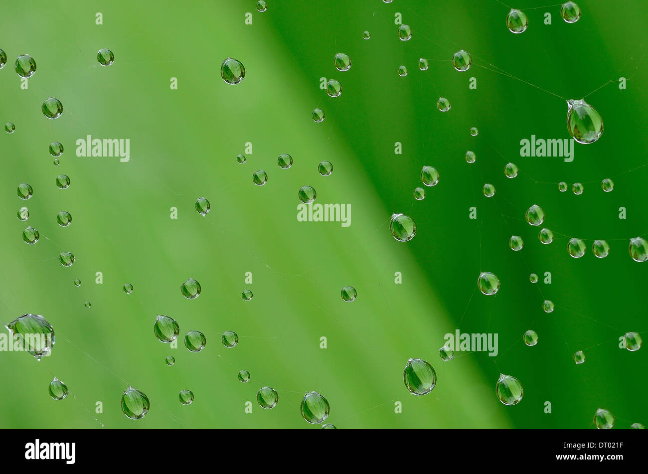 floating water droplets 2 Stock Photo Alamy