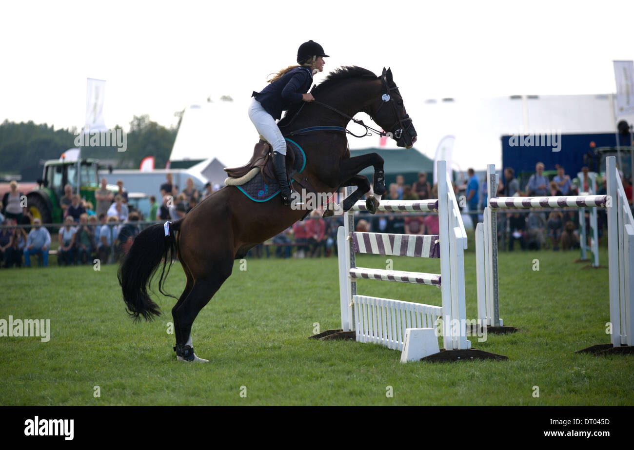 A horse and rider jump a fence in the show jumping competition at the ...