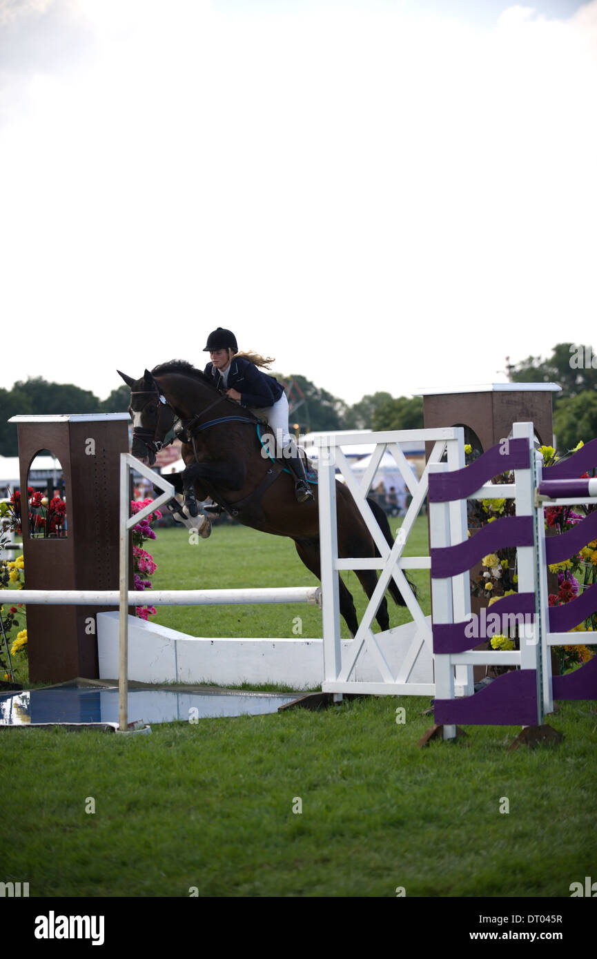A horse and rider tackle the water jump in the show jumping competition